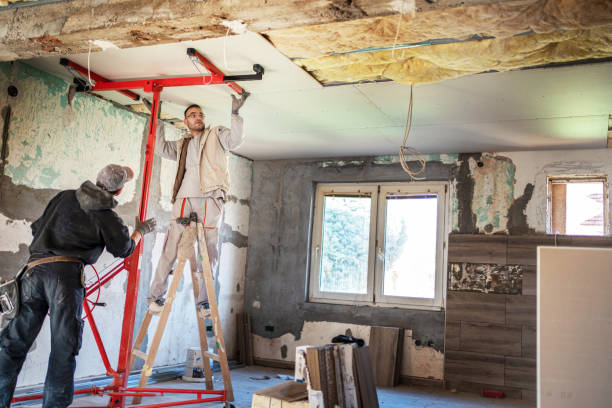 Best Insulation Installation Services in Franklin Farm, VA